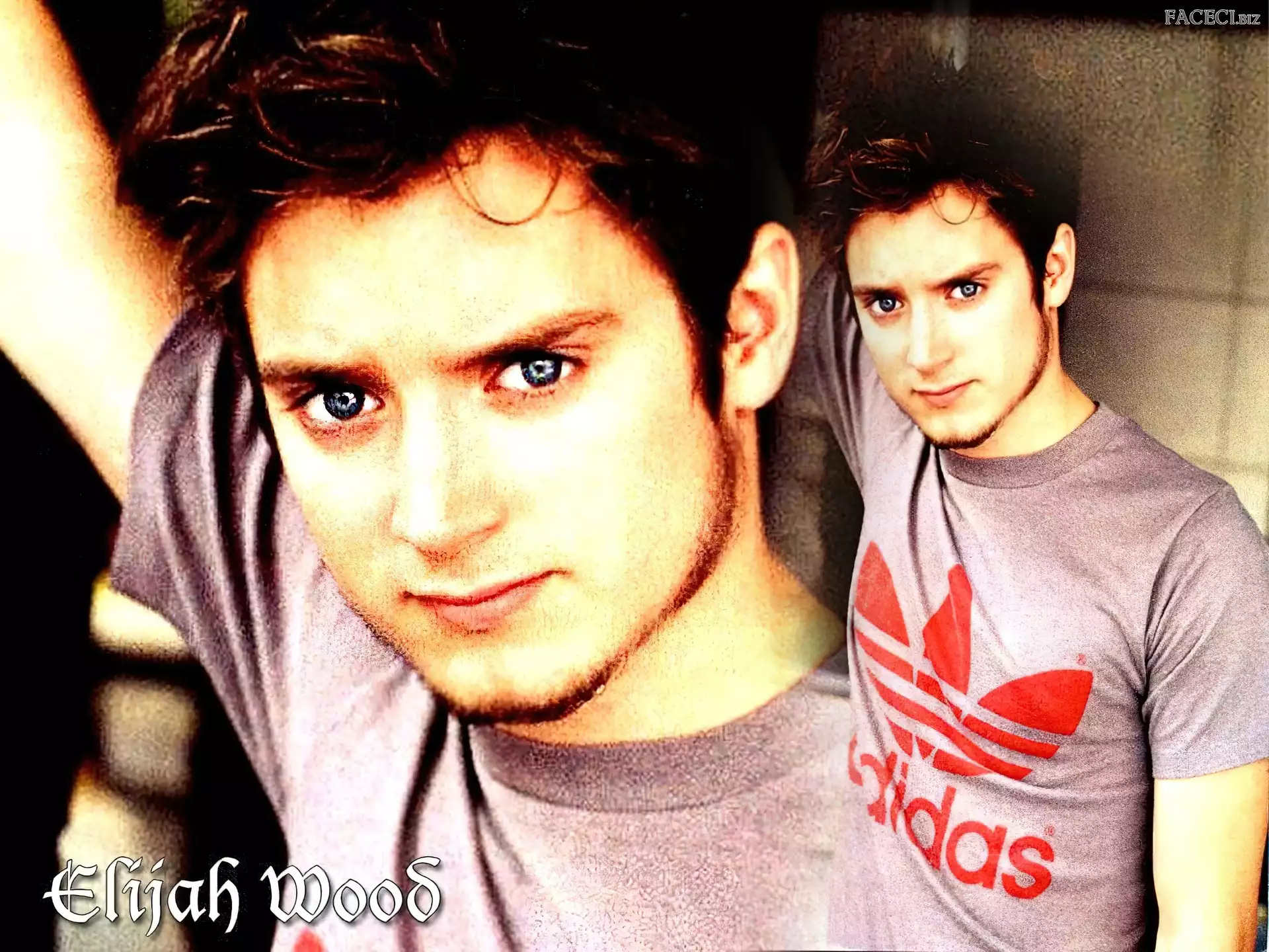 adidas, Elijah Wood, t-shirt